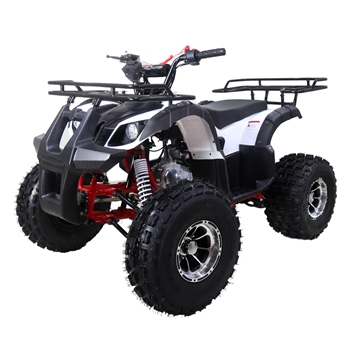 125cc ATV, NEW TFORCE